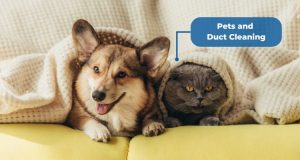 Pets and 
Duct Cleaning