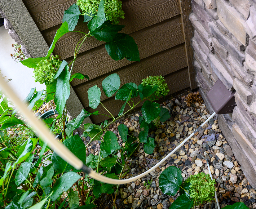 Dryer vent cleaning